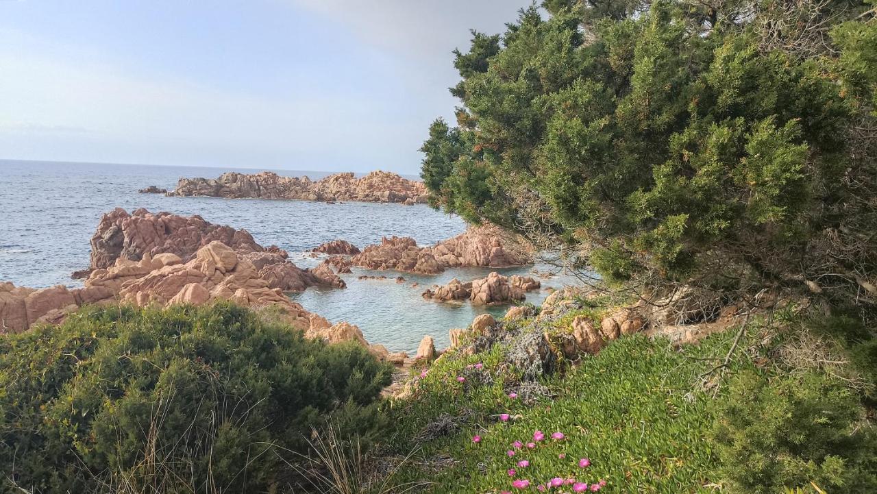 Casa Vacanze Villa Sandrina Costa Paradiso Exteriér fotografie